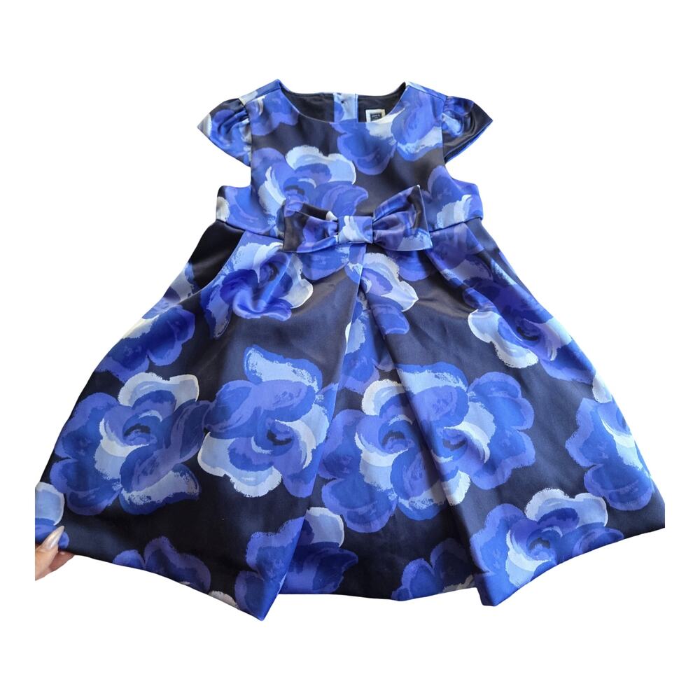 Janie & Jack Blue Floral Dress Size: 12-18M